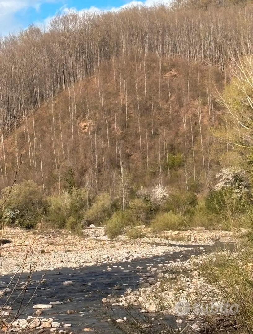 Proprietà con casolare e ampio terreno - Vista 4