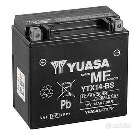 Batteria yuasa ytx14-bs