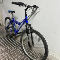 Bicicletta lombardo