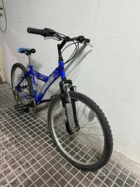 Bicicletta lombardo