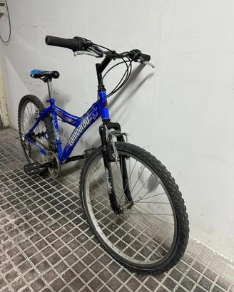 Bicicletta lombardo