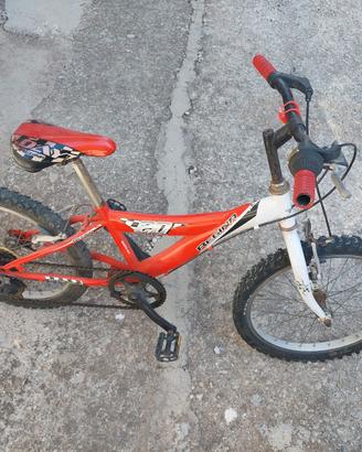 Bicicletta 20