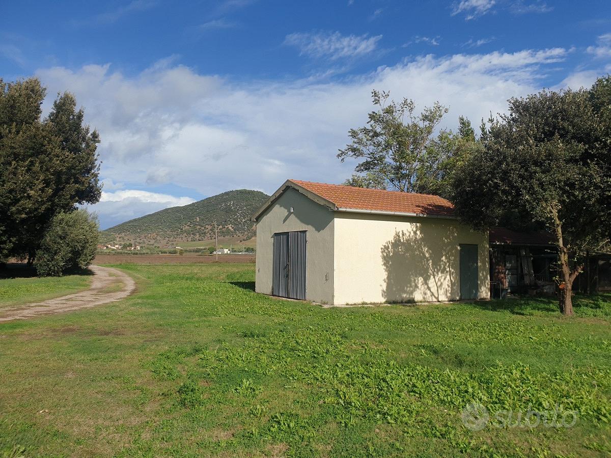 Terreno Agricolo Grosseto [Cod. rif 3102120VCG] - Vista 4