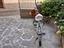 Immagine 2