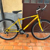 Bici montan bike ragazzo