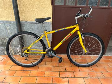 Bici montan bike ragazzo