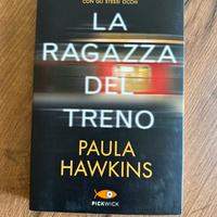 La ragazza del treno