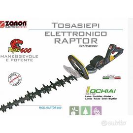 Tagliasiepi su asta zanon raptor 750