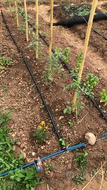 Orto da coltivare - per gli ortaggi e l'anima