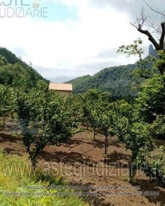 Terreno Agricolo Giffoni Valle Piana [A4333105]