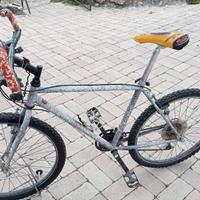 MTB Torpado