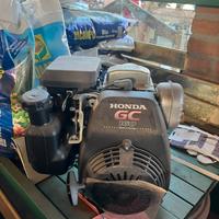 Motore honda giardinaggio