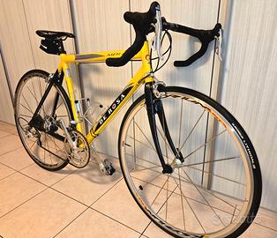 bicicletta da corsa de rosa