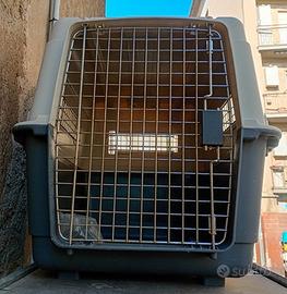 Trasportino cane grande con ruote usato