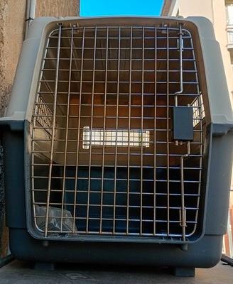 Trasportino cane grande con ruote usato