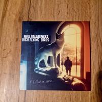 Noel Gallagher  If I had a gun Single