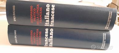 dizionario di francese