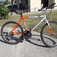 Mountain bike legnano ragazzo da 24