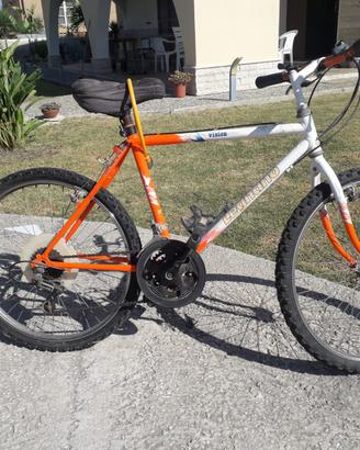 Mountain bike legnano ragazzo da 24