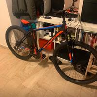 Mountain bike ragazzo 12-15 anni
