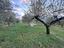 Immagine 7