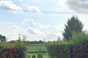 Rif.9320TG69162| terreno agricolo trebaseleghe