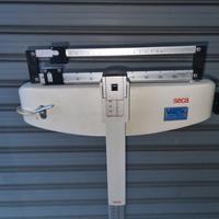 bilancia professionale