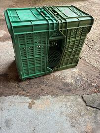 Cassette in plastica per vendemmia