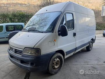 Ricambi Fiat Ducato 03 bianco 2300cc TD F1AE0481C