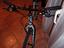 Immagine 5