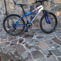 bicicletta mtb lombardo kalahoo adventure 24