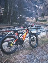 bicicletta elettrica 