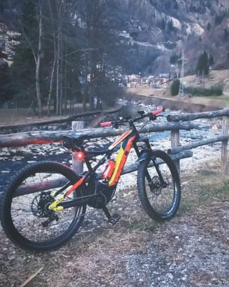 bicicletta elettrica 