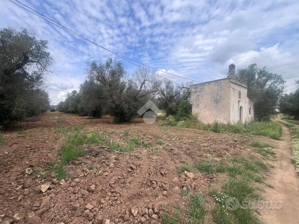 TER. AGRICOLO A MESAGNE - Vista 3