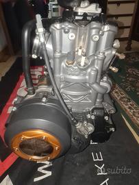 Ricambi per KTM 690 SMC R