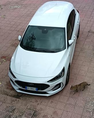 Ford Focus 1.0 Ford EcoBoost Hybrid 125 CV ST Line