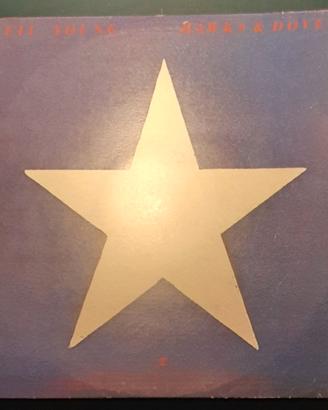 NEIL YOUNG - HAWKS & DOVES