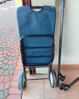 carrello spiaggia o spesa nuovi