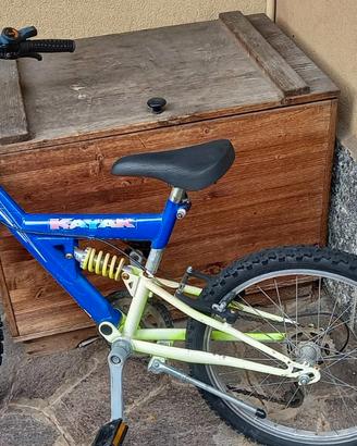 bici usata 