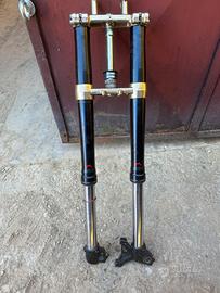 Forcelle tm 125 motard piedino radiale