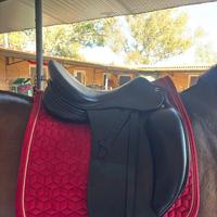 Sella Erreplus Dressage