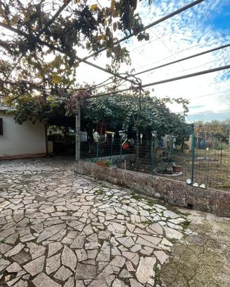 ZAGAROLO: VILLA BIFAMILIARE  + TERRENO + MAGAZZINO