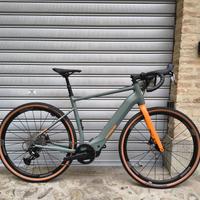 Lombardo Lagonegro 
- bicicletta elettrica