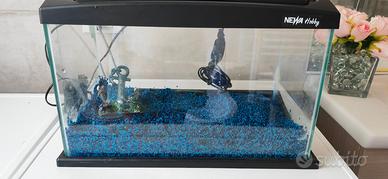 acquario newa