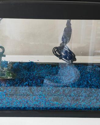 acquario newa