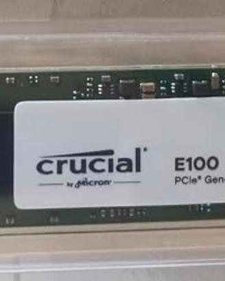 🔥 SSD M.2 NVMe Crucial E100 1TB