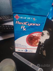 acquario,pesci , red cyano