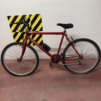 Mountain bike Esperia