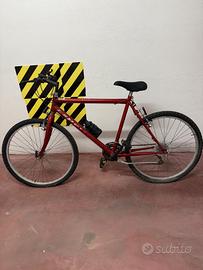 Mountain bike Esperia