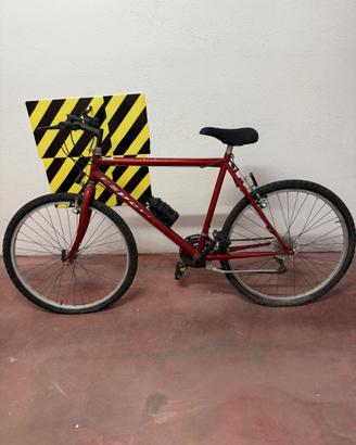 Mountain bike Esperia